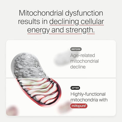 Mitopure Softgels