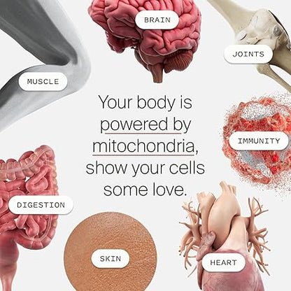 Mitopure Powder